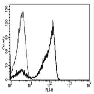 anti-CD2 Molecule (CD2) antibody avatar