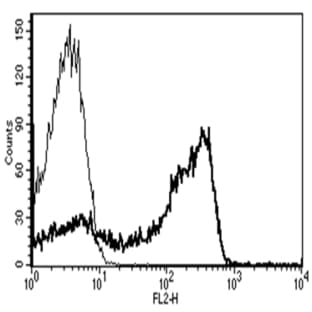 anti-CD2 Molecule (CD2) antibody (PE) avatar