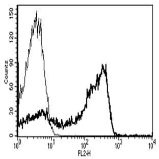 anti-CD2 Molecule (CD2) antibody (Biotin) avatar