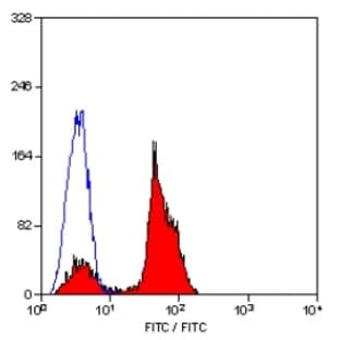 anti-CD2 Molecule (CD2) antibody (Biotin) avatar