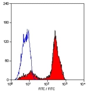 anti-CD2 Molecule (CD2) antibody avatar