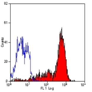 anti-CD2 Molecule (CD2) antibody avatar