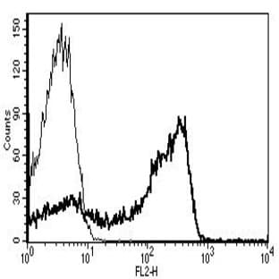 anti-CD2 Molecule (CD2) antibody (Biotin) avatar