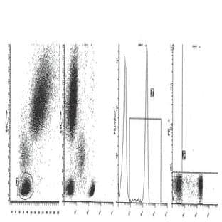 anti-CD4 Molecule (CD4) antibody avatar