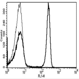 anti-CD4 Molecule (CD4) antibody (FITC) avatar