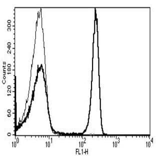 anti-CD4 Molecule (CD4) antibody (PE) avatar