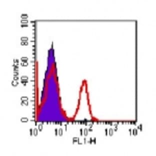 anti-CD4 Molecule (CD4) antibody (FITC) avatar