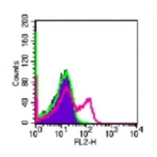 anti-CD4 Molecule (CD4) antibody (PE) avatar
