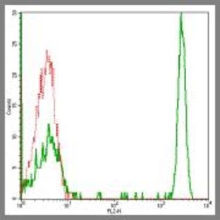 anti-CD4 Molecule (CD4) antibody (PE) avatar