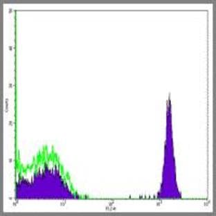 anti-CD4 Molecule (CD4) antibody (Biotin) avatar