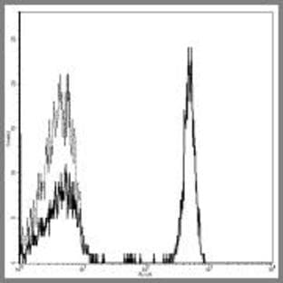 anti-CD4 Molecule (CD4) antibody avatar