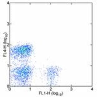 anti-CD4 Molecule (CD4) antibody (Alexa Fluor 700)