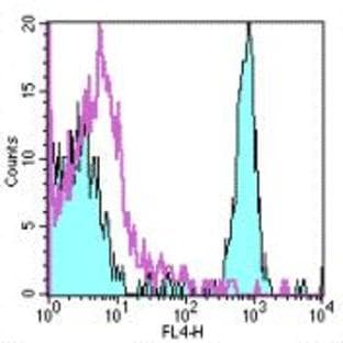 anti-CD4 Molecule (CD4) antibody (APC) avatar