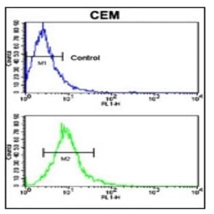 anti-CD4 Molecule (CD4) (C-Term) antibody avatar