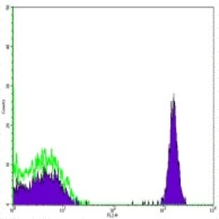 anti-CD4 Molecule (CD4) antibody (Biotin) avatar