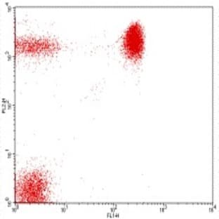 anti-CD4 Molecule (CD4) antibody (FITC) avatar