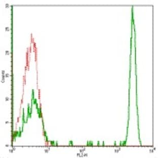 anti-CD4 Molecule (CD4) antibody (PE) avatar