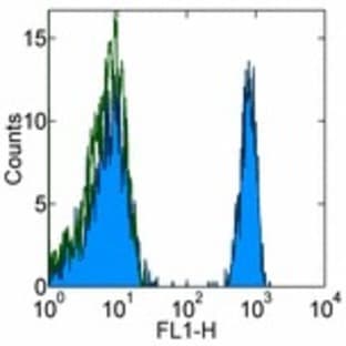 anti-CD4 Molecule (CD4) antibody avatar