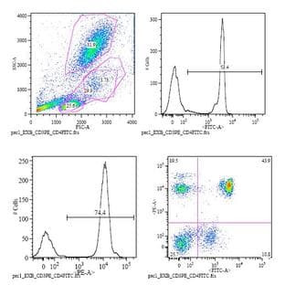 anti-CD4 Molecule (CD4) (N-Term) antibody (FITC) avatar
