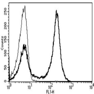 anti-CD5 Molecule (CD5) antibody avatar