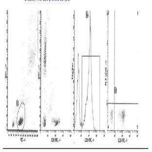 anti-CD5 Molecule (CD5) antibody (FITC) avatar
