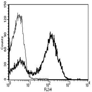anti-CD5 Molecule (CD5) antibody (PE) avatar