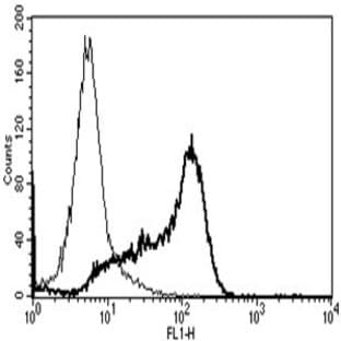 anti-CD6 (CD6) antibody avatar