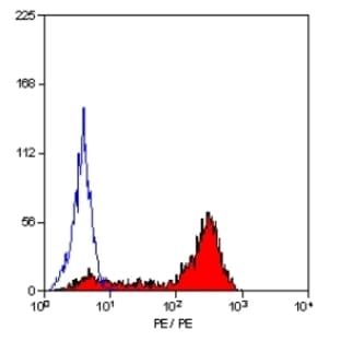 anti-CD6 (CD6) antibody (PE) avatar