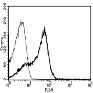anti-CD7 (CD7) antibody (PE) avatar