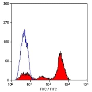 anti-CD7 (CD7) antibody avatar