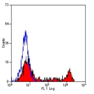 anti-CD8a Molecule (CD8A) antibody avatar