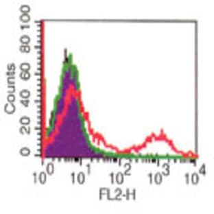 anti-CD8 Antigen, alpha Polypeptide (CD8A) antibody avatar