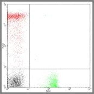 anti-CD8a Molecule (CD8A) antibody (PE) avatar