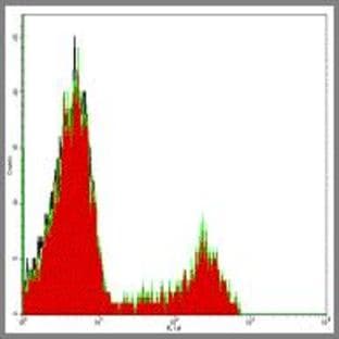 anti-CD8a Molecule (CD8A) antibody avatar