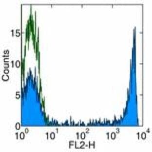 anti-CD8a Molecule (CD8A) antibody avatar