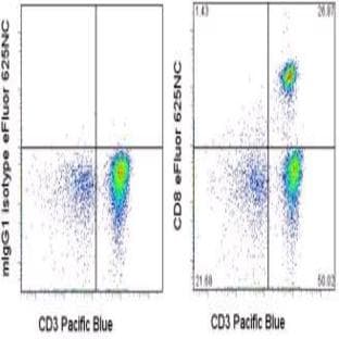anti-CD8a Molecule (CD8A) antibody (EFluor 625NC) avatar