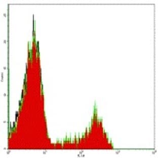 anti-CD8 Antigen, alpha Polypeptide (CD8A) antibody avatar