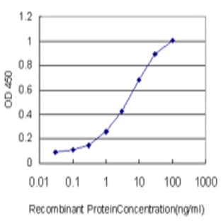 anti-B-Cell CLL/lymphoma 7C (BCL7C) (AA 86-165) antibody avatar