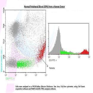 anti-CD9 (CD9) antibody (FITC) avatar