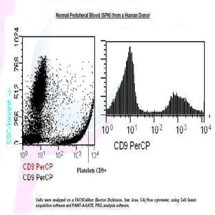 anti-CD9 (CD9) antibody (PerCP) avatar