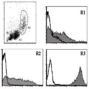 anti-CD9 (CD9) antibody avatar