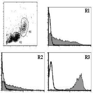 anti-CD9 (CD9) antibody (PE) avatar