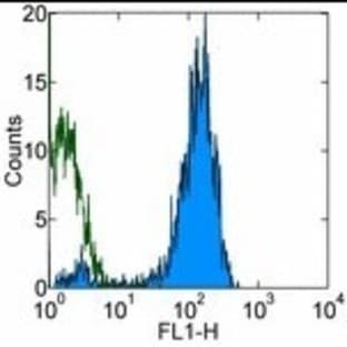 anti-CD9 (CD9) antibody