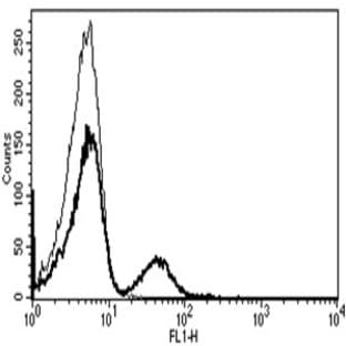 anti-CD19 Molecule (CD19) antibody avatar