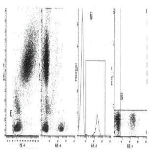anti-CD19 Molecule (CD19) antibody (FITC) avatar