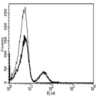 anti-CD19 Molecule (CD19) antibody (FITC) avatar