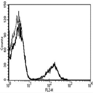 anti-CD19 Molecule (CD19) antibody (PE) avatar