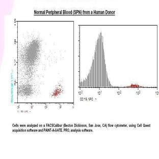 anti-CD19 Molecule (CD19) antibody (APC)