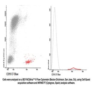 anti-CD19 Molecule (CD19) antibody (CF405M) avatar