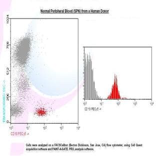 anti-CD19 Molecule (CD19) antibody (PE,Cy5) avatar